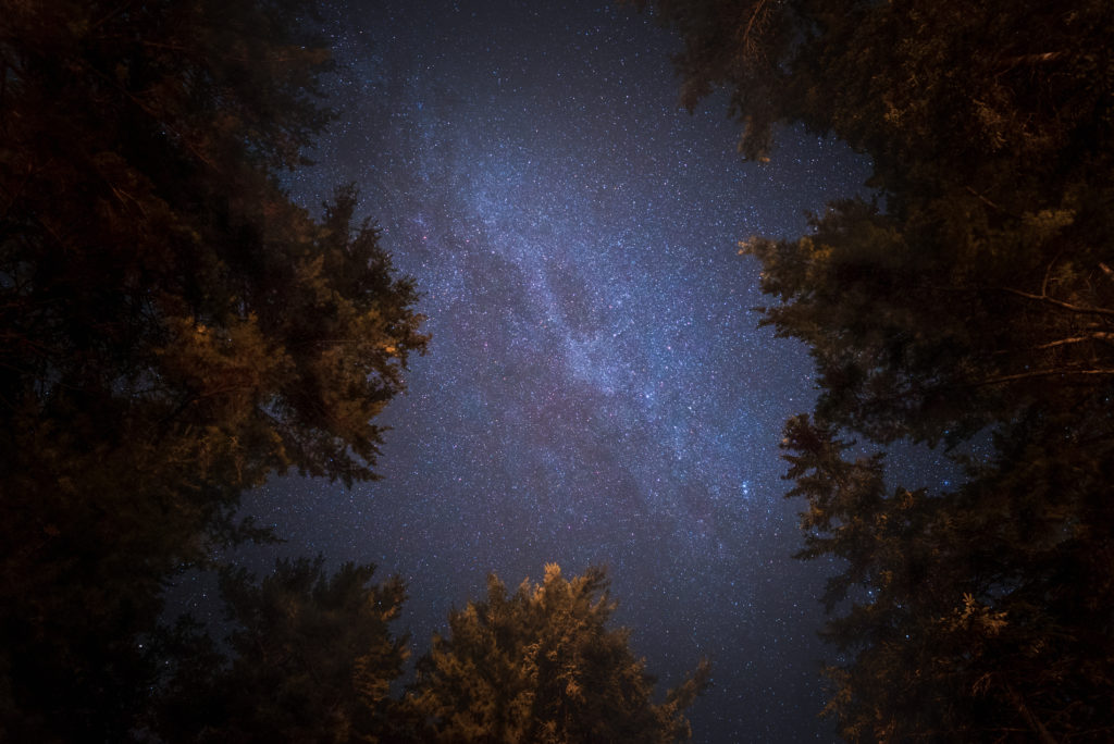 The Milky Way over Algonquin Park, only possible because of a lack of light pollution away from major cities.