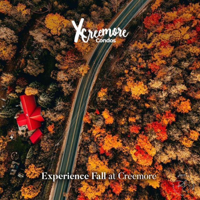 As the leaves transition into a kaleidoscope of warm hues, the Creemore Condos offer a front-row seat to nature's most splendid show. Whether you're sipping a warm beverage by the window or stepping out onto your balcony to inhale the crisp air, these condos become an idyllic vantage point for capturing the essence of autumn.

From the comfort of your own space, you can embrace the gorgeous view of the changing seasons all year round at Creemore.

Register now to find your next home with us at Creemore: https://mdmdevelopments.com/#register_form

📸 @‌robburnsphotography source: @‌blogto

#creemorecondos #creemoredowntown #condosinontario #ontariocondos #ontariorealestate #ontariodevelopers #realestatedevelopment